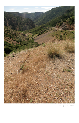 View in the Black Canyon of the Gunnison National Park