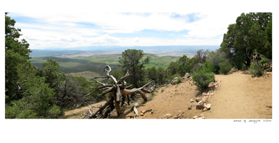 View in the Black Canyon of the Gunnison National Park